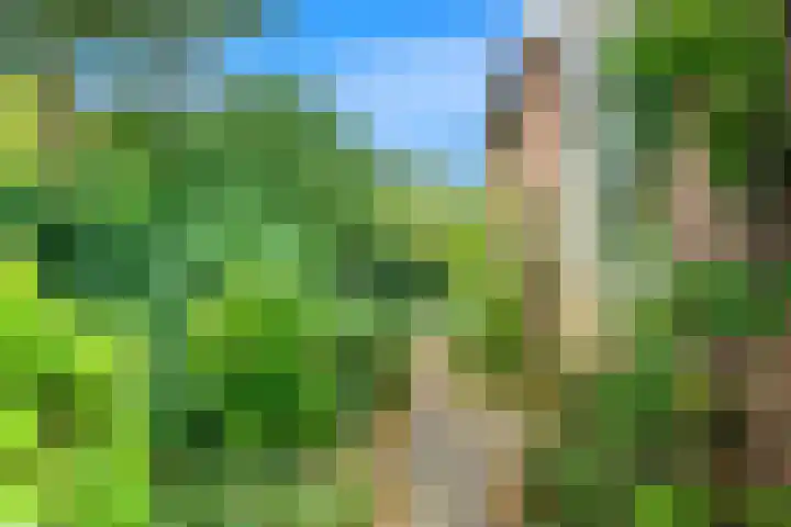 Zandkreek 56 Alkmaar thumbnail 24