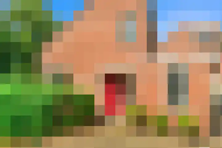 Zandkreek 56 Alkmaar thumbnail 26