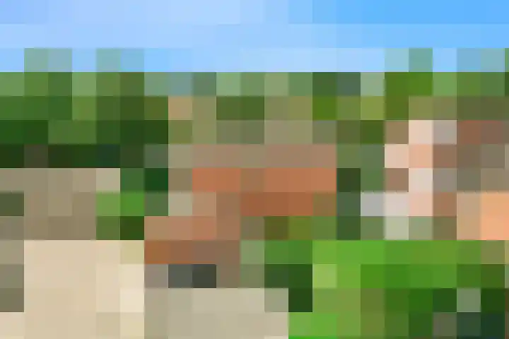 Zandkreek 56 Alkmaar thumbnail 27