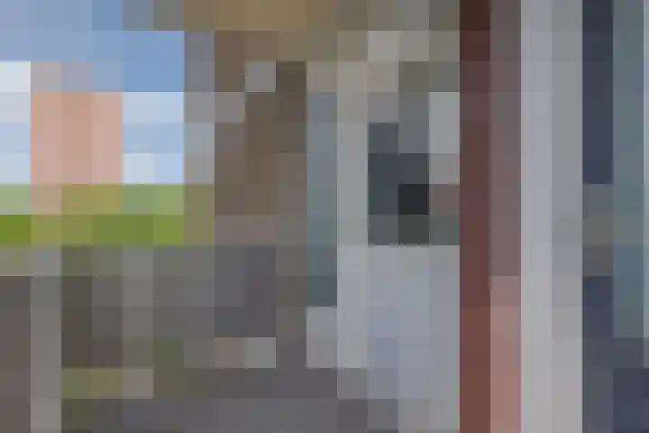Zandkreek 62 Rotterdam thumbnail 14