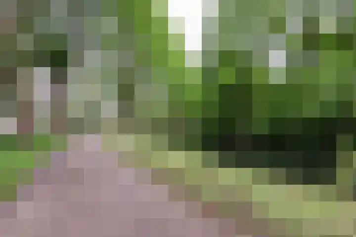 Zandkreek 62 Rotterdam thumbnail 21