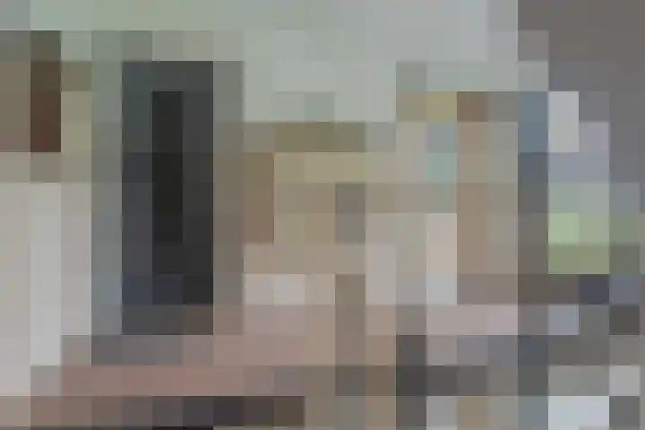 Zandkreek 62 Rotterdam thumbnail 7
