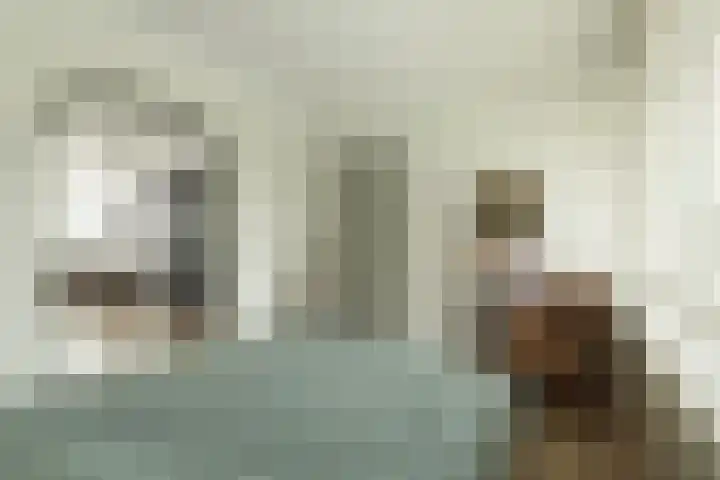 Zandkreek 70 Rotterdam thumbnail 19