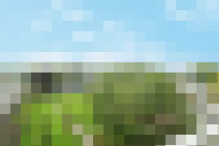 Zandkreek 70 Rotterdam thumbnail 4