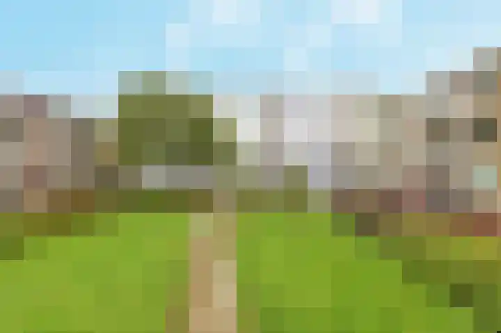 Zandkreek 70 Rotterdam thumbnail 5
