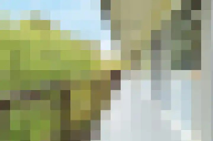 Zandkreek 70 Rotterdam thumbnail 8