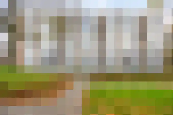 Zandkreek 78 Rotterdam thumbnail 17