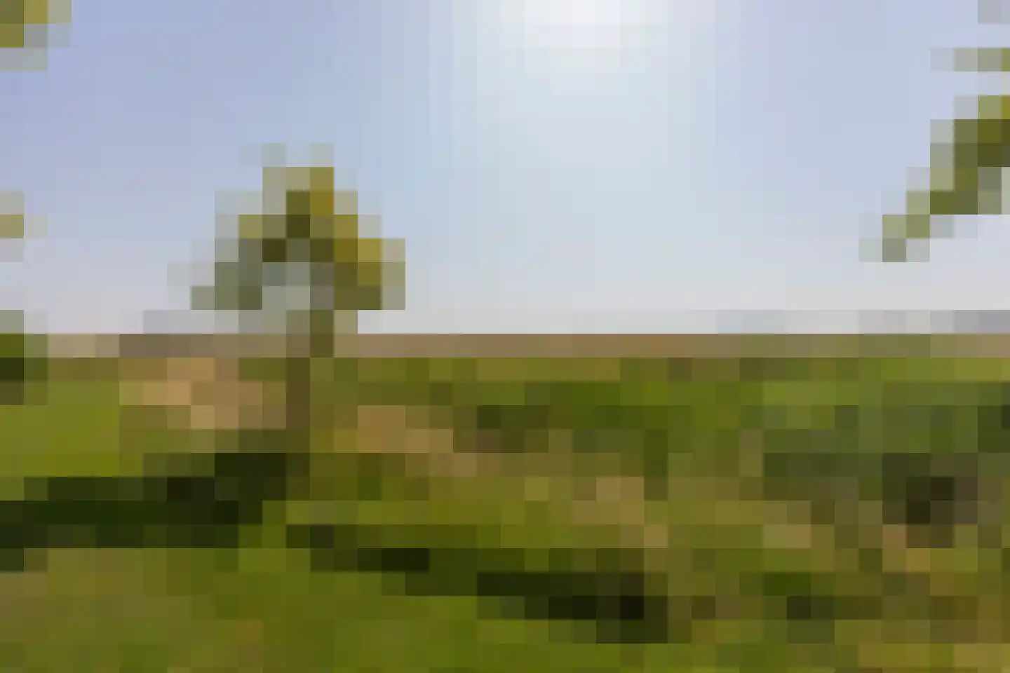 Zandkreek 8 Willemstad thumbnail 52