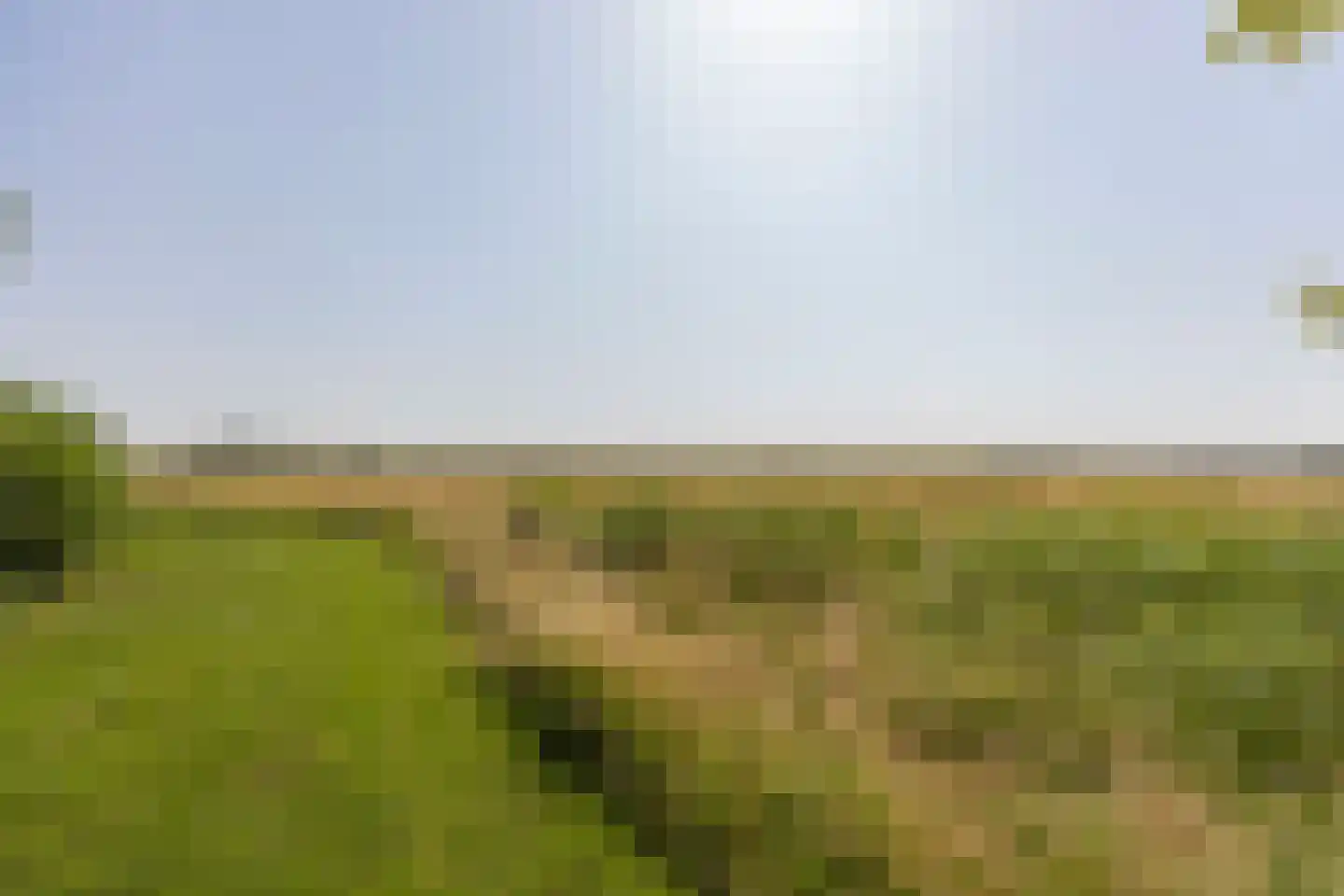 Zandkreek 8 Willemstad thumbnail 54