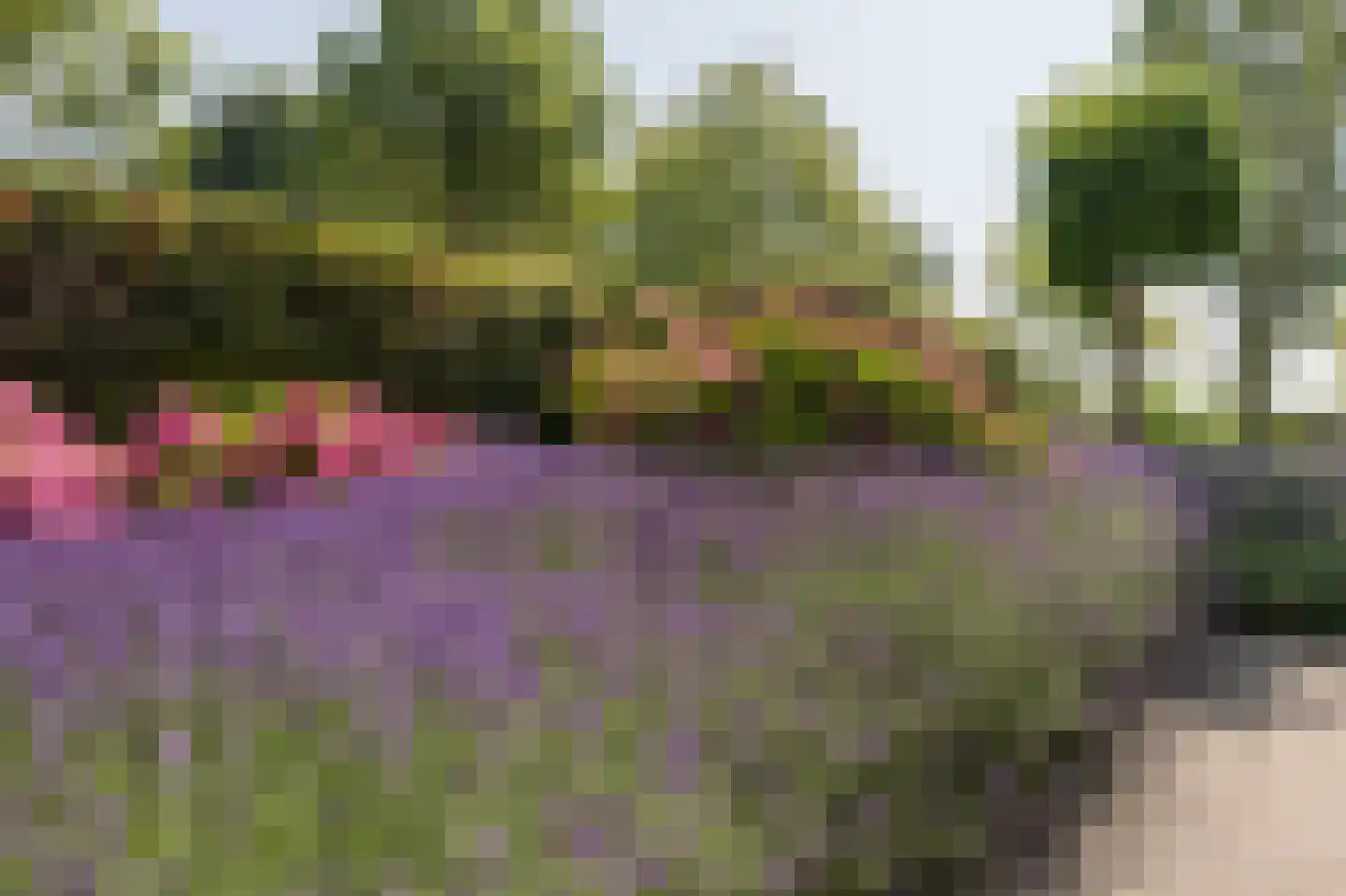 Zandkreek 8 Willemstad thumbnail 57