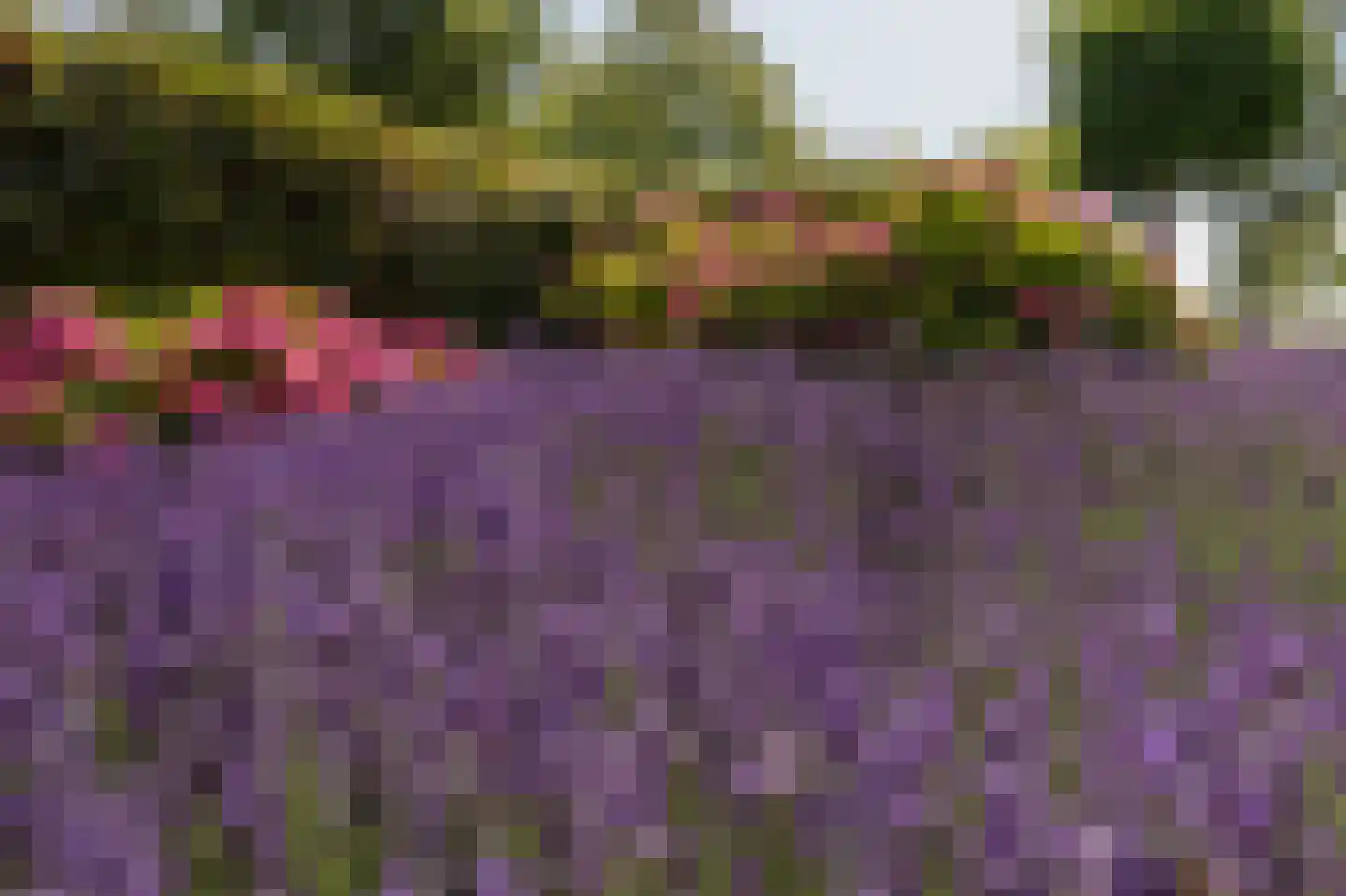 Zandkreek 8 Willemstad thumbnail 58