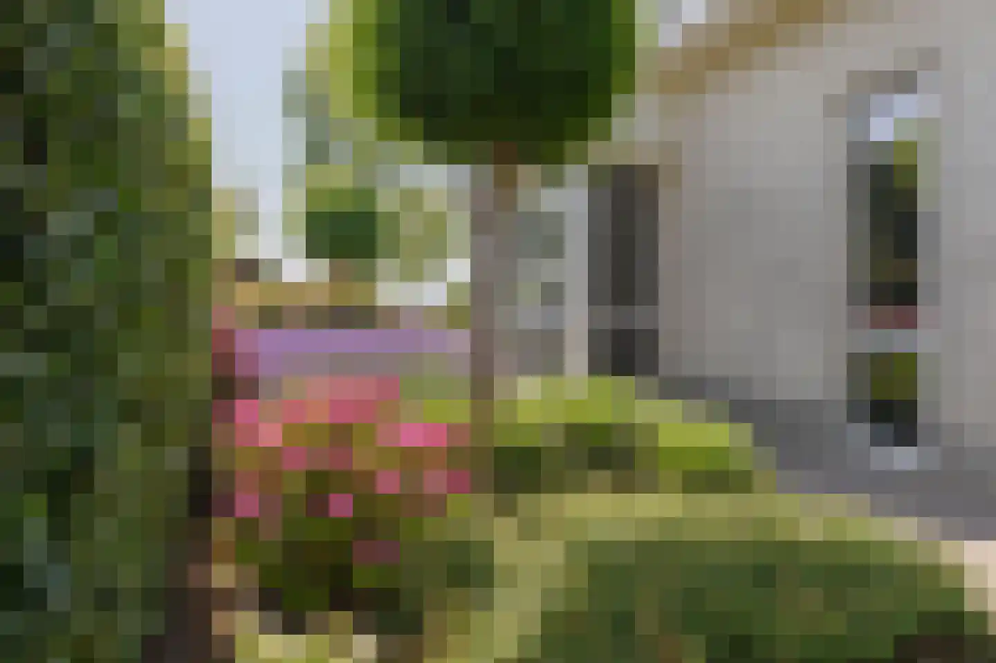 Zandkreek 8 Willemstad thumbnail 59