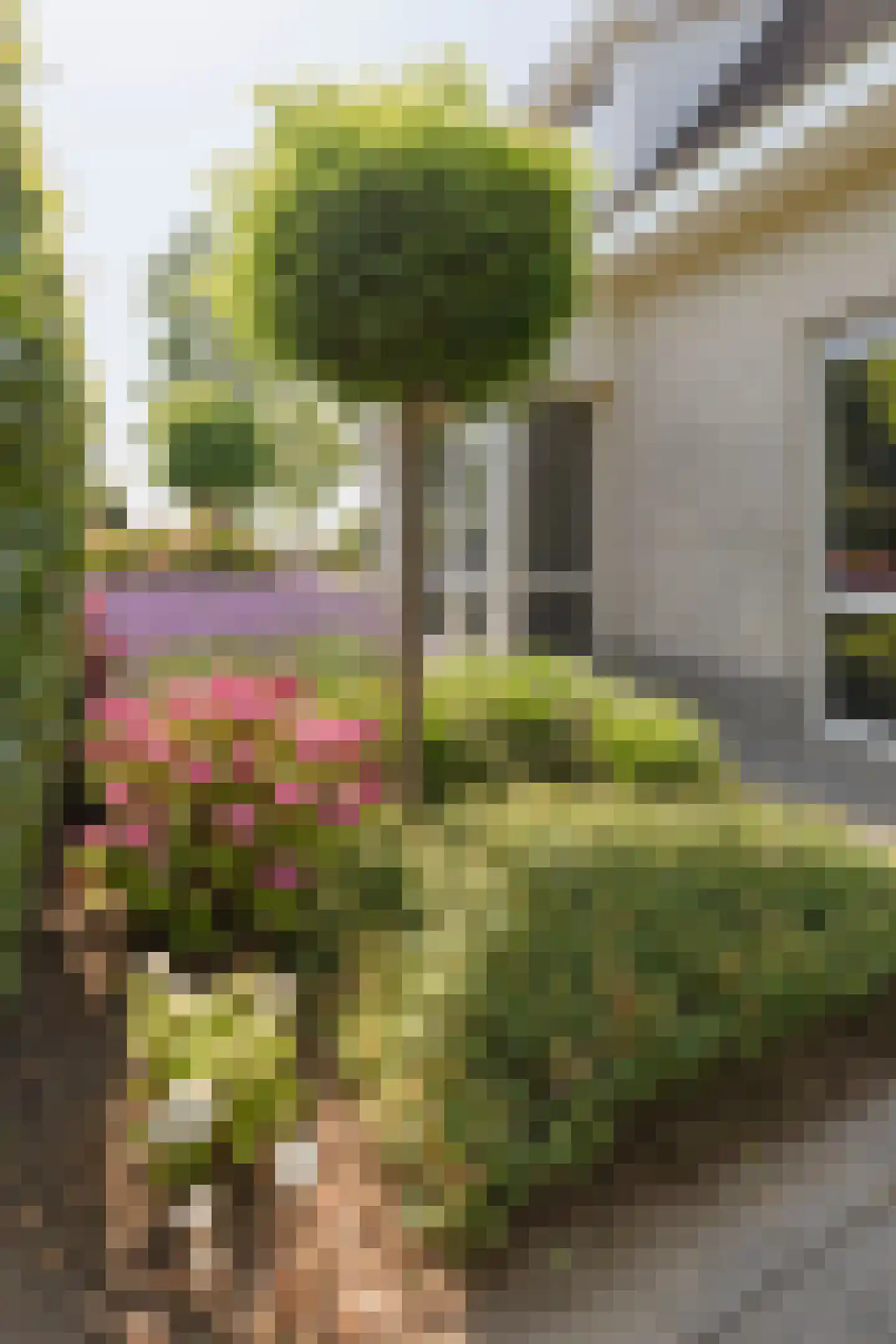 Zandkreek 8 Willemstad thumbnail 60