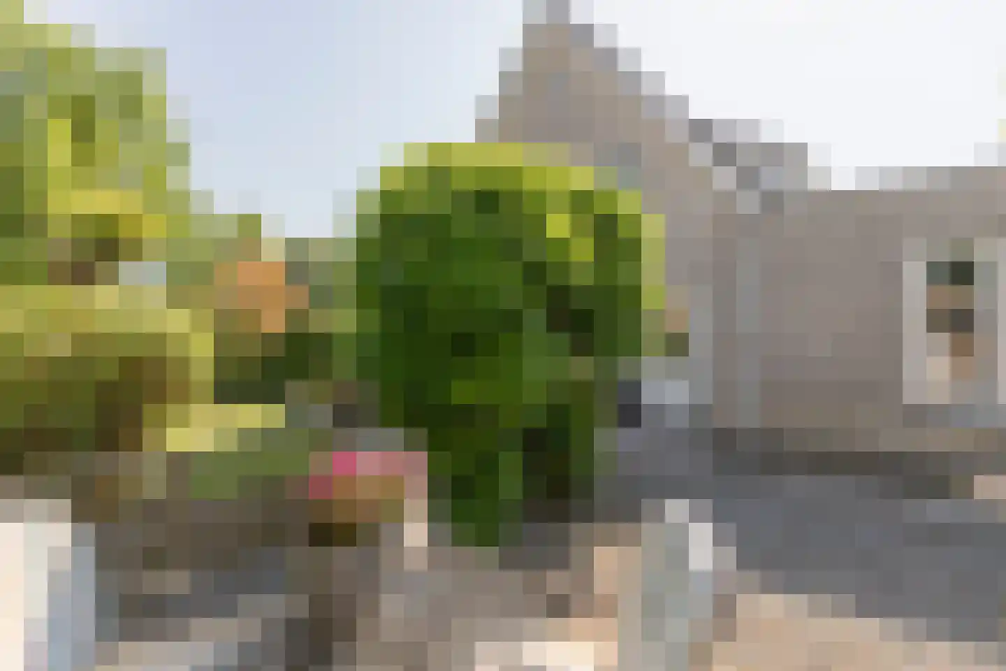 Zandkreek 8 Willemstad thumbnail 70