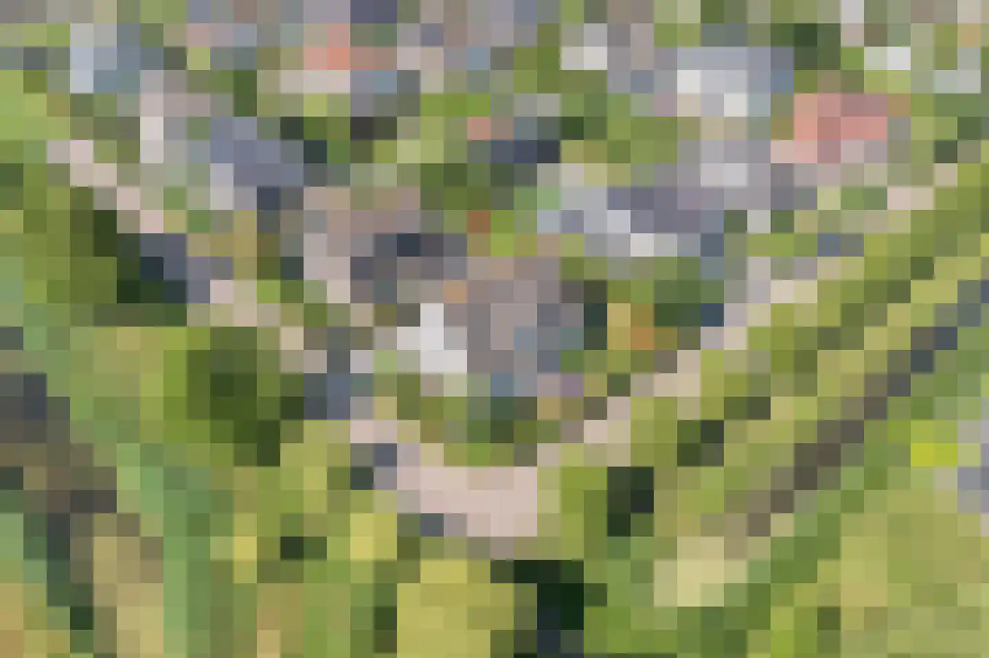 Zandkreek 8 Willemstad thumbnail 75