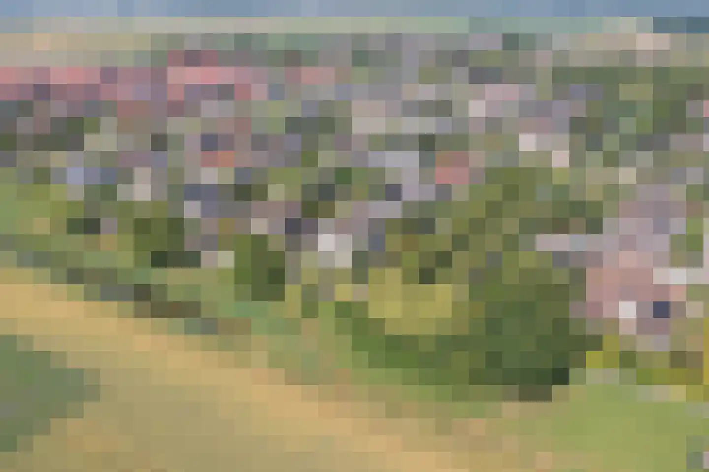 Zandkreek 8 Willemstad thumbnail 77