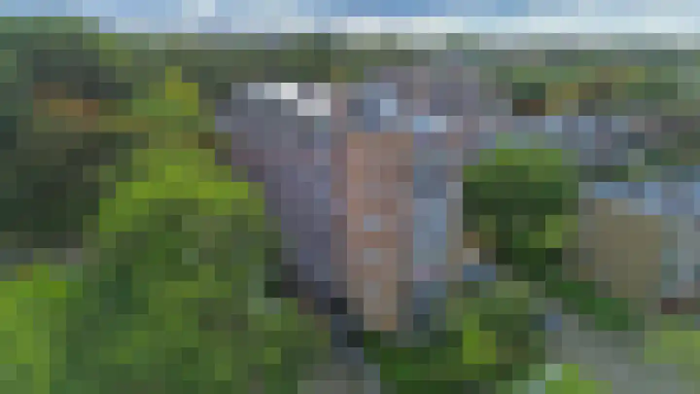 Zandkreek 84 Rotterdam thumbnail 28