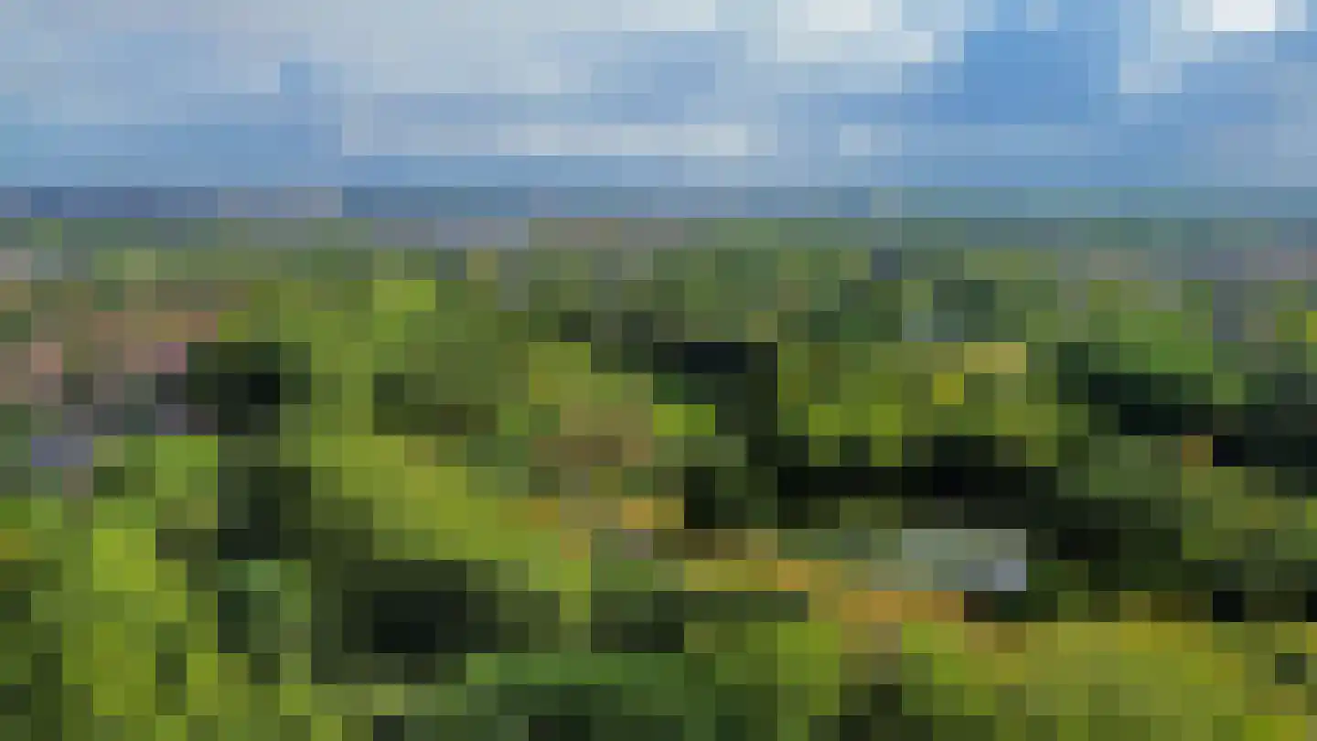 Zandkreek 84 Rotterdam thumbnail 33