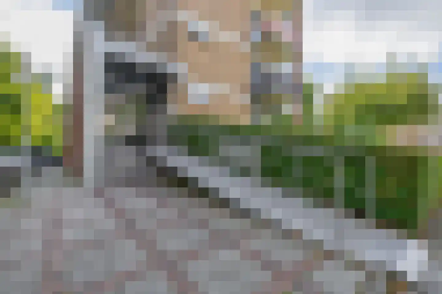 Zandkreek 84 Rotterdam thumbnail 4
