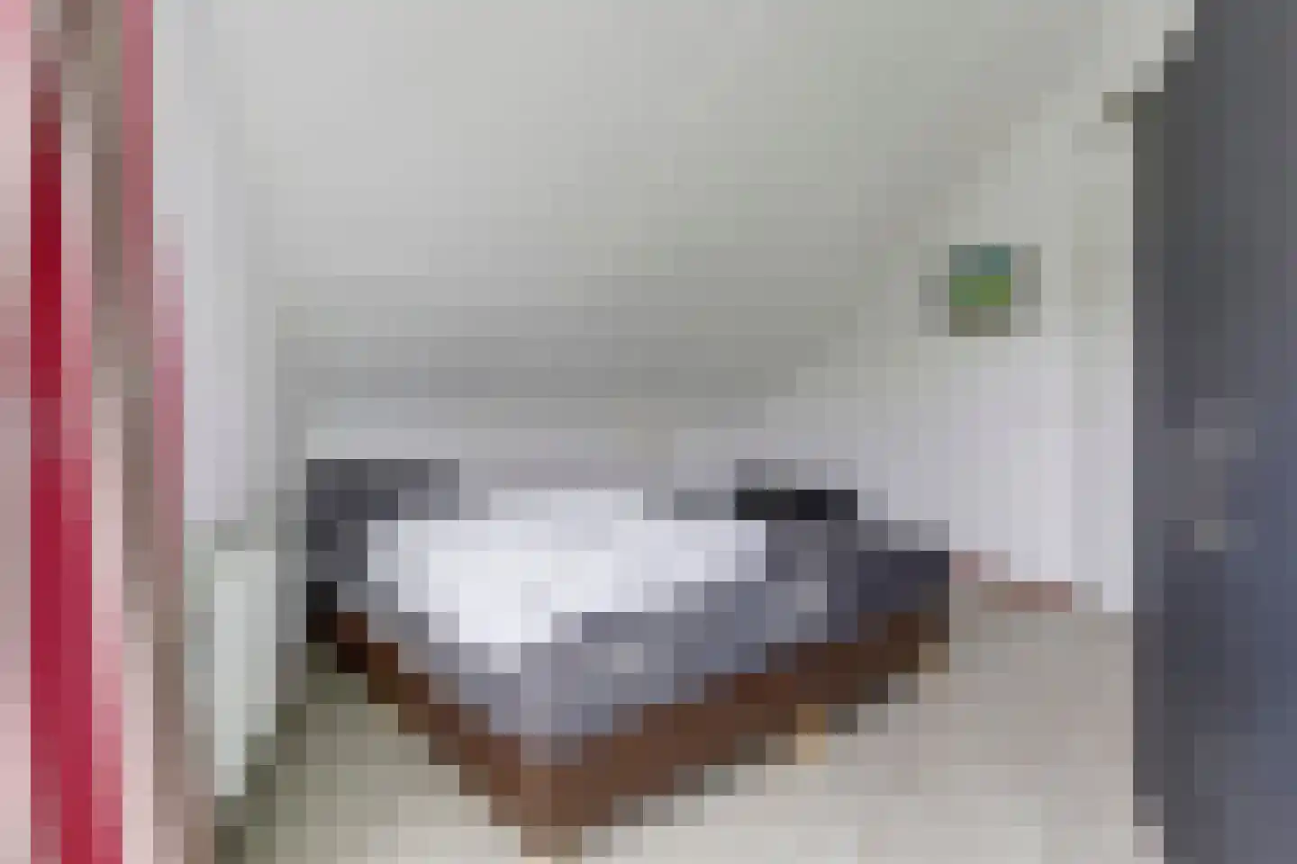 Zandkreekplaatweg 16 Arnemuiden thumbnail 27