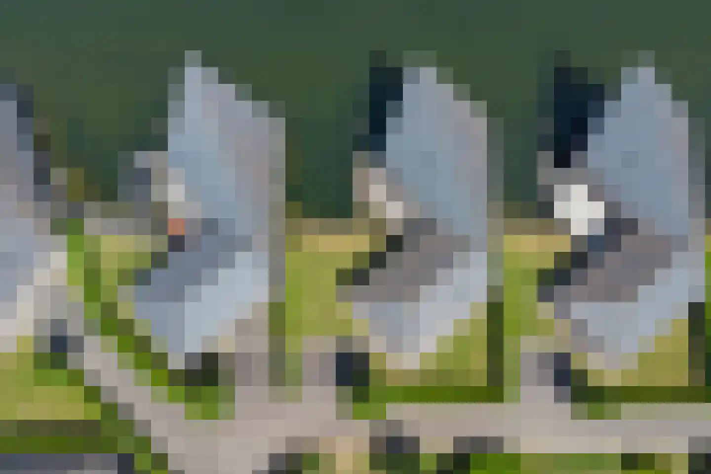 Zandkreekplaatweg 16 Arnemuiden thumbnail 43