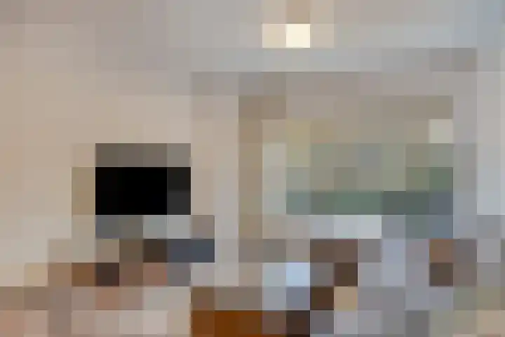 Zandkreekstraat 14 Deventer thumbnail 4