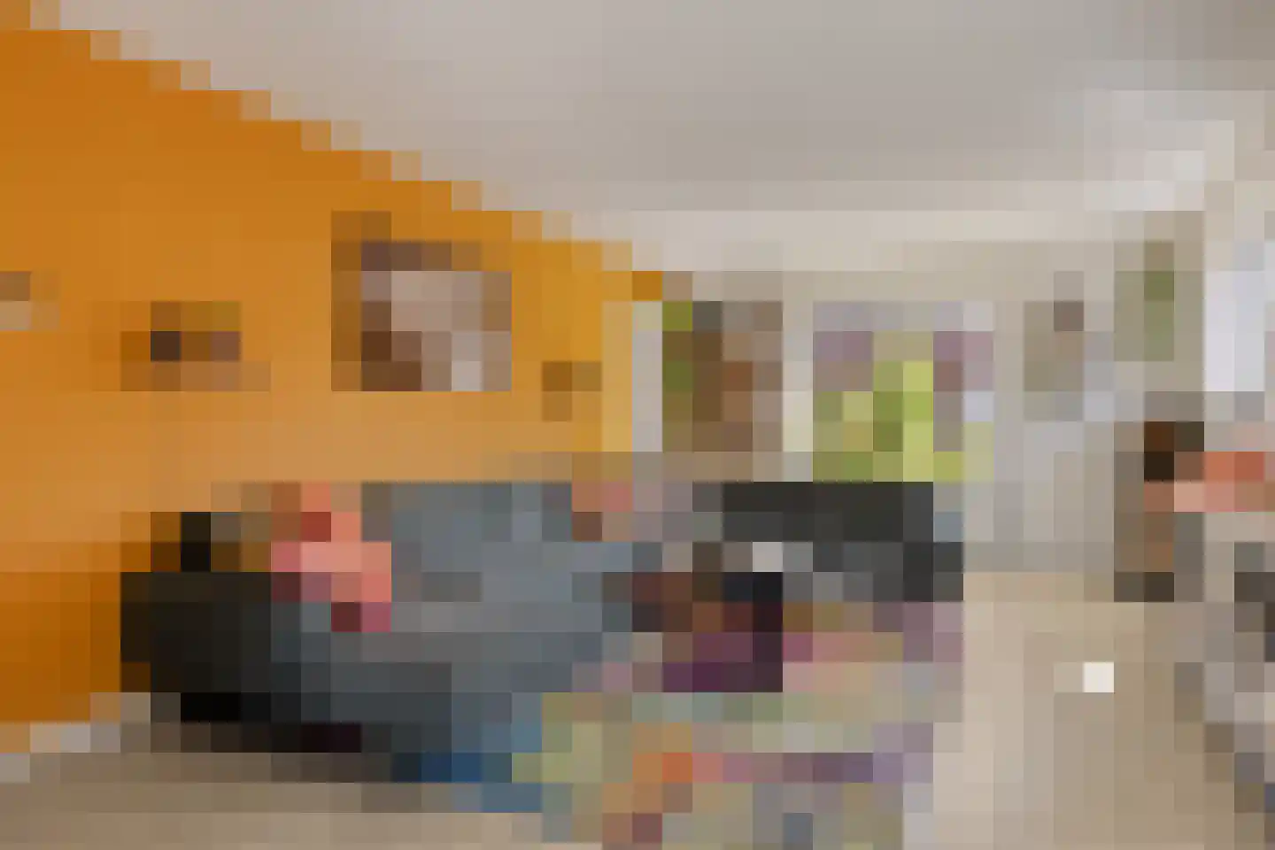 Zandkreekstraat 14 Lewedorp thumbnail 9