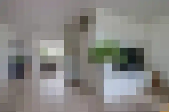 Zandkreekstraat 15 Kortgene thumbnail 11