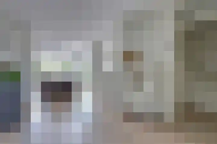 Zandkreekstraat 15 Kortgene thumbnail 12