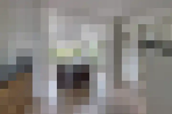 Zandkreekstraat 15 Kortgene thumbnail 18