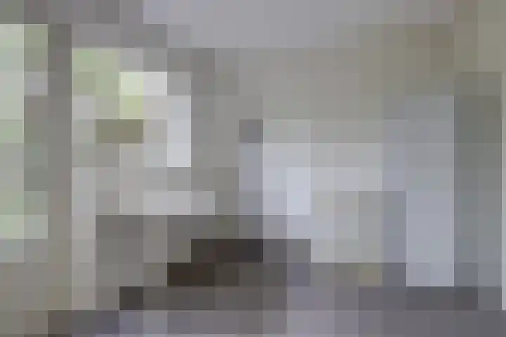 Zandkreekstraat 15 Kortgene thumbnail 19