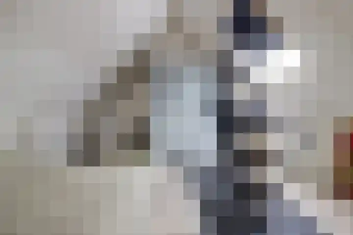 Zandkreekstraat 15 Kortgene thumbnail 29