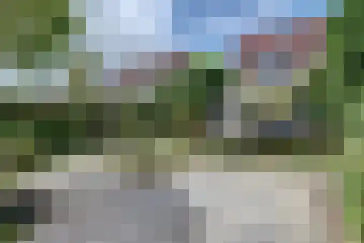 Zandkreekstraat 15 Kortgene thumbnail 31