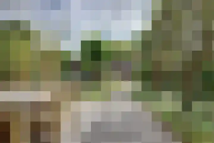Zandkreekstraat 15 Kortgene thumbnail 32