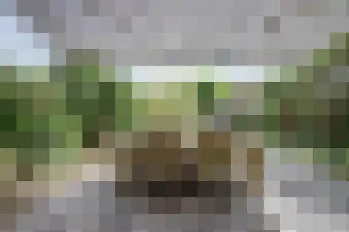 Zandkreekstraat 15 Kortgene thumbnail 33