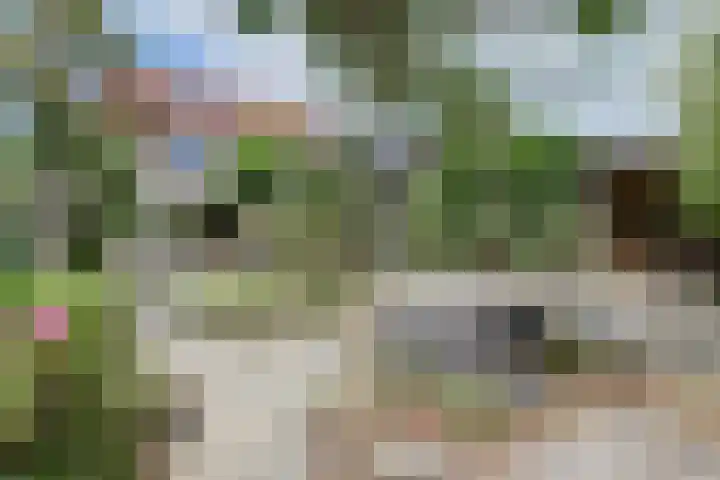 Zandkreekstraat 15 Kortgene thumbnail 34