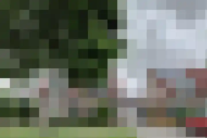 Zandkreekstraat 15 Kortgene thumbnail 36