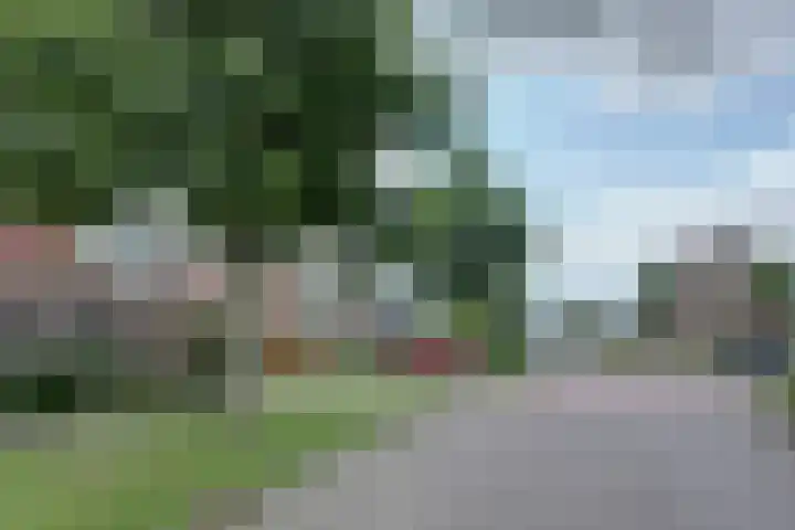 Zandkreekstraat 15 Kortgene thumbnail 38