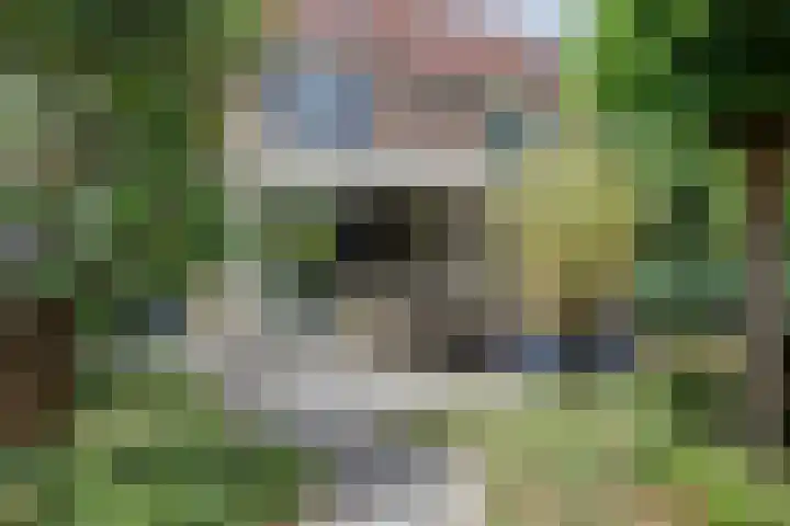 Zandkreekstraat 15 Kortgene thumbnail 4