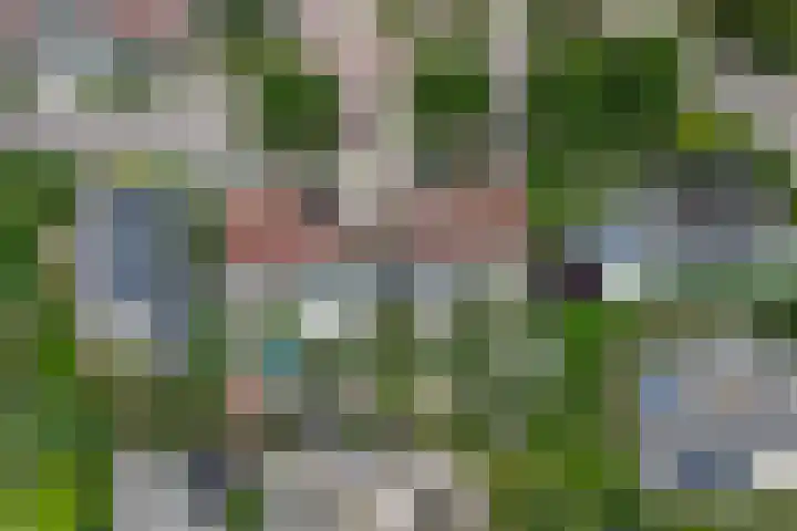 Zandkreekstraat 15 Kortgene thumbnail 41