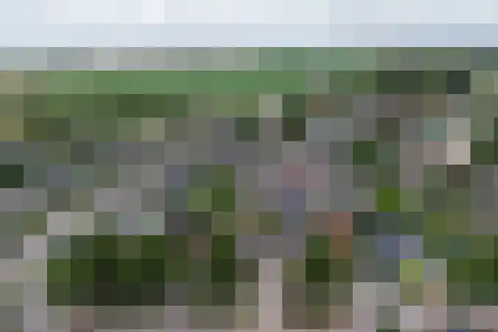 Zandkreekstraat 15 Kortgene thumbnail 42