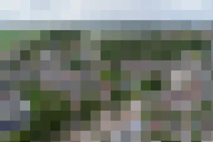 Zandkreekstraat 15 Kortgene thumbnail 43