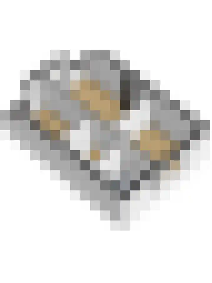 Zandkreekstraat 15 Kortgene thumbnail 51
