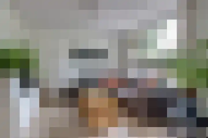Zandkreekstraat 15 Kortgene thumbnail 8