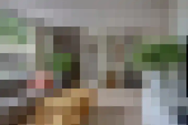 Zandkreekstraat 15 Kortgene thumbnail 9