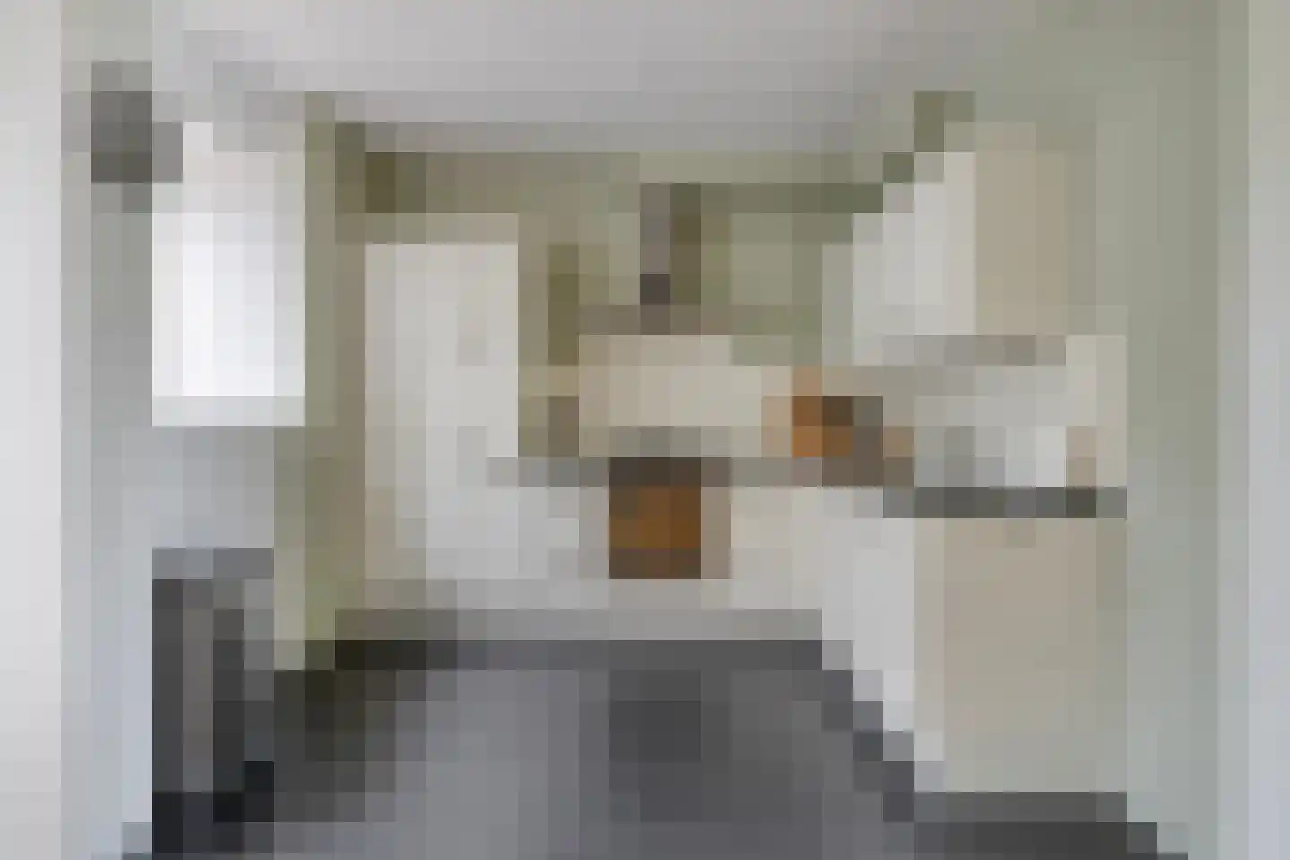 Zandkreekstraat 21 Zierikzee thumbnail 9