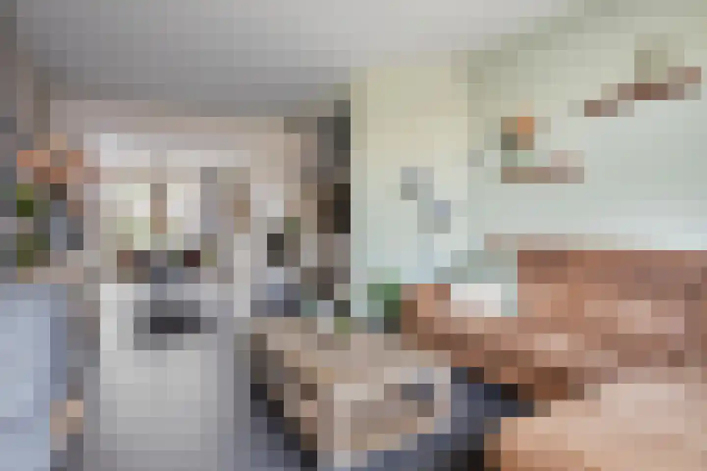 Zandkreekstraat 25 Lewedorp thumbnail 10