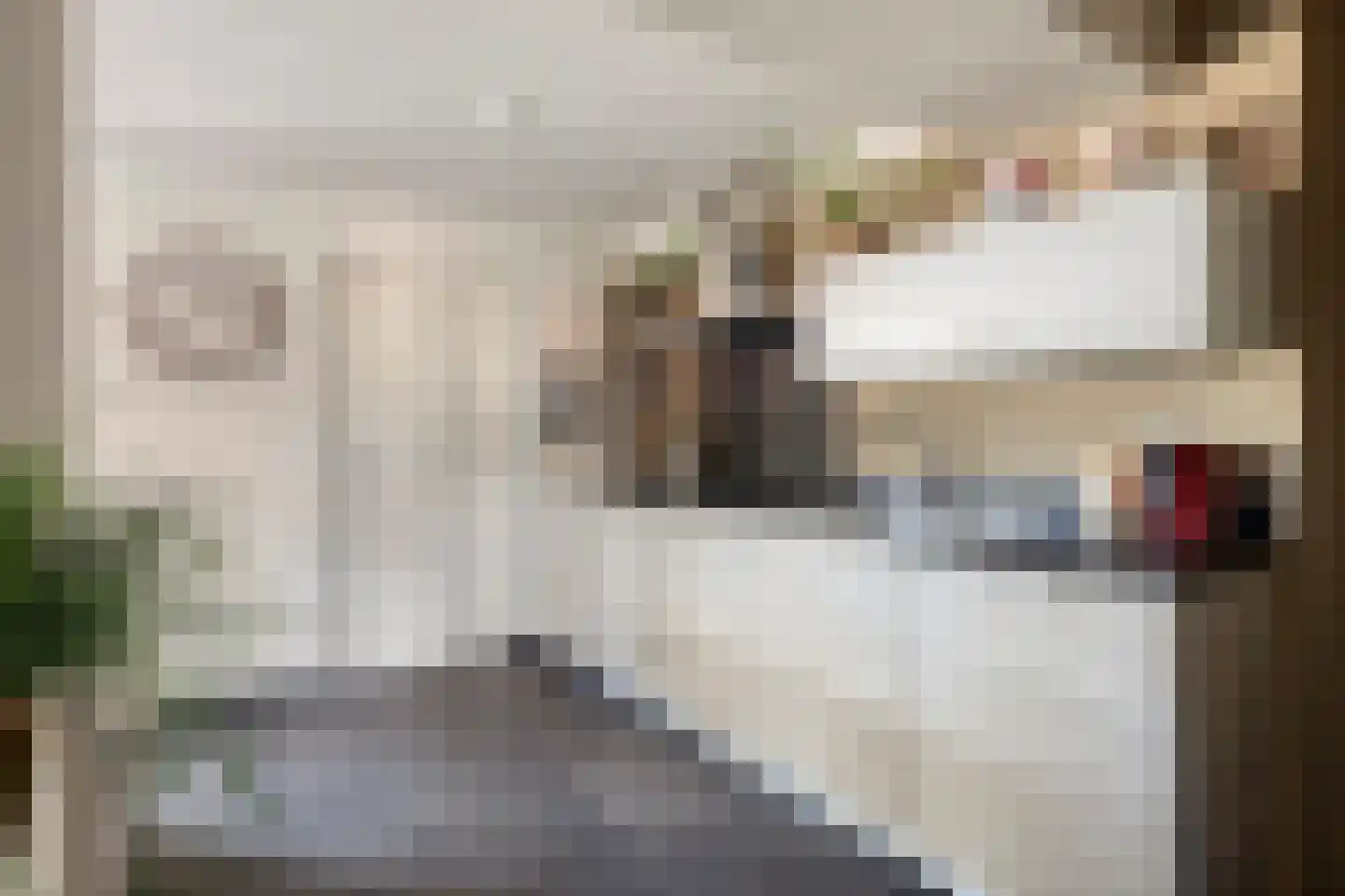 Zandkreekstraat 25 Lewedorp thumbnail 17