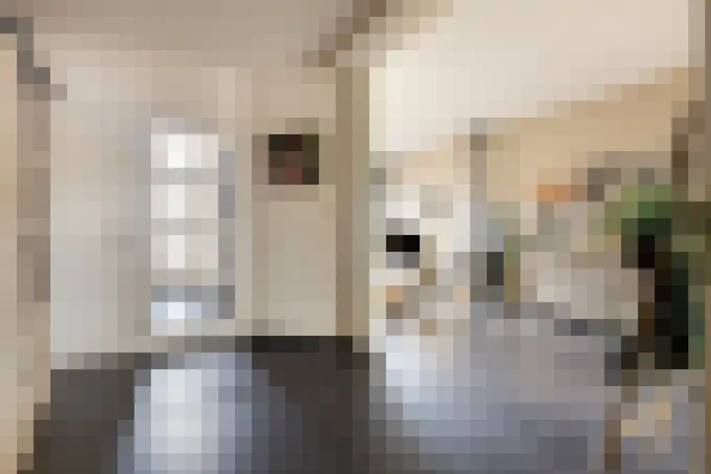 Zandkreekstraat 25 Lewedorp thumbnail 7