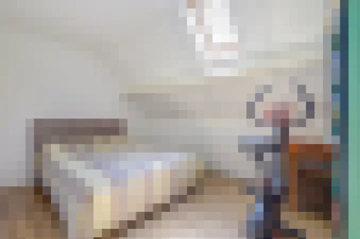 Zandkreekstraat 26 Kortgene thumbnail 18